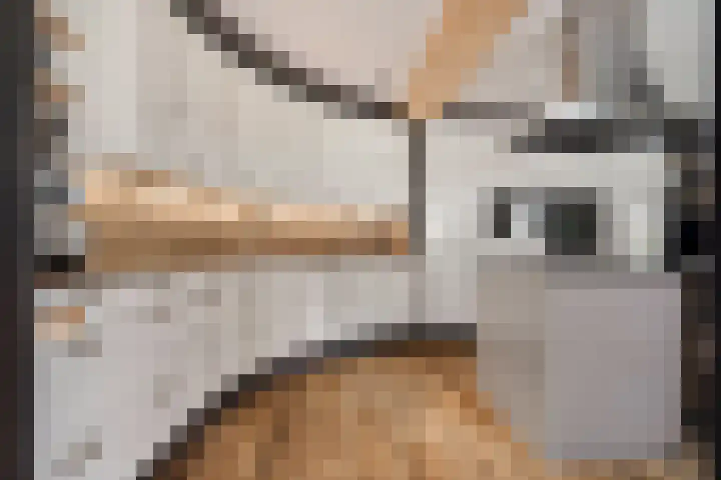 Vinkwijk 9 Zeddam thumbnail 26