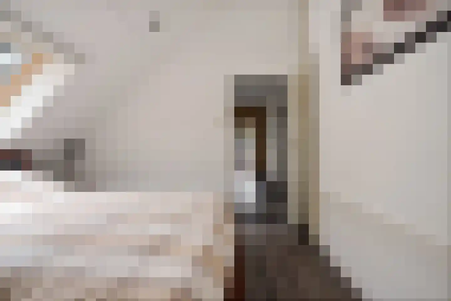 Vinkwijk 9 Zeddam thumbnail 34