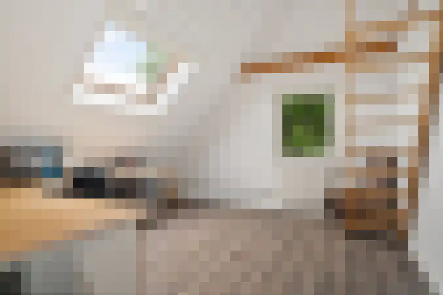 Vinkwijk 9 Zeddam thumbnail 35