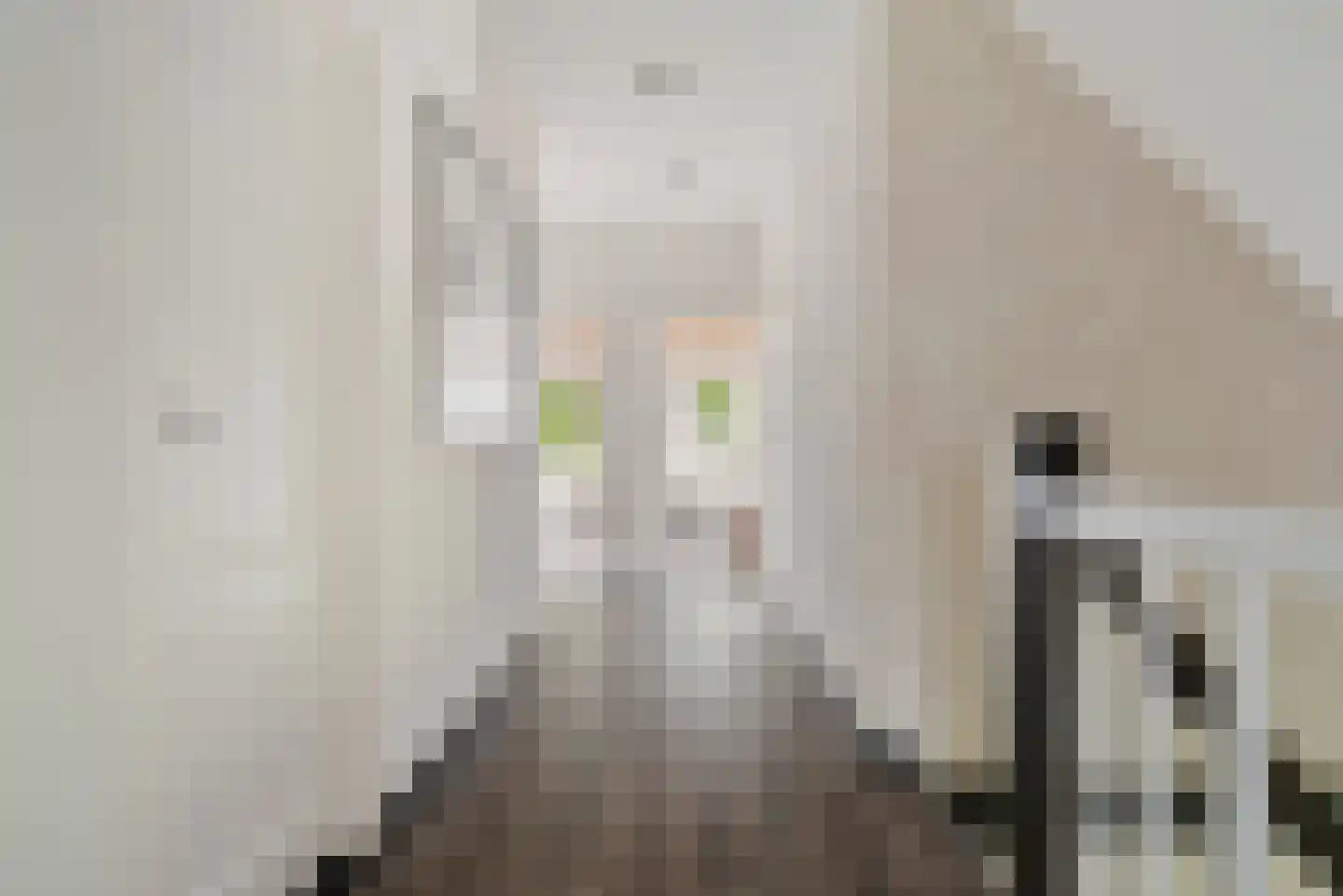 Vinkwijk 9 Zeddam thumbnail 41