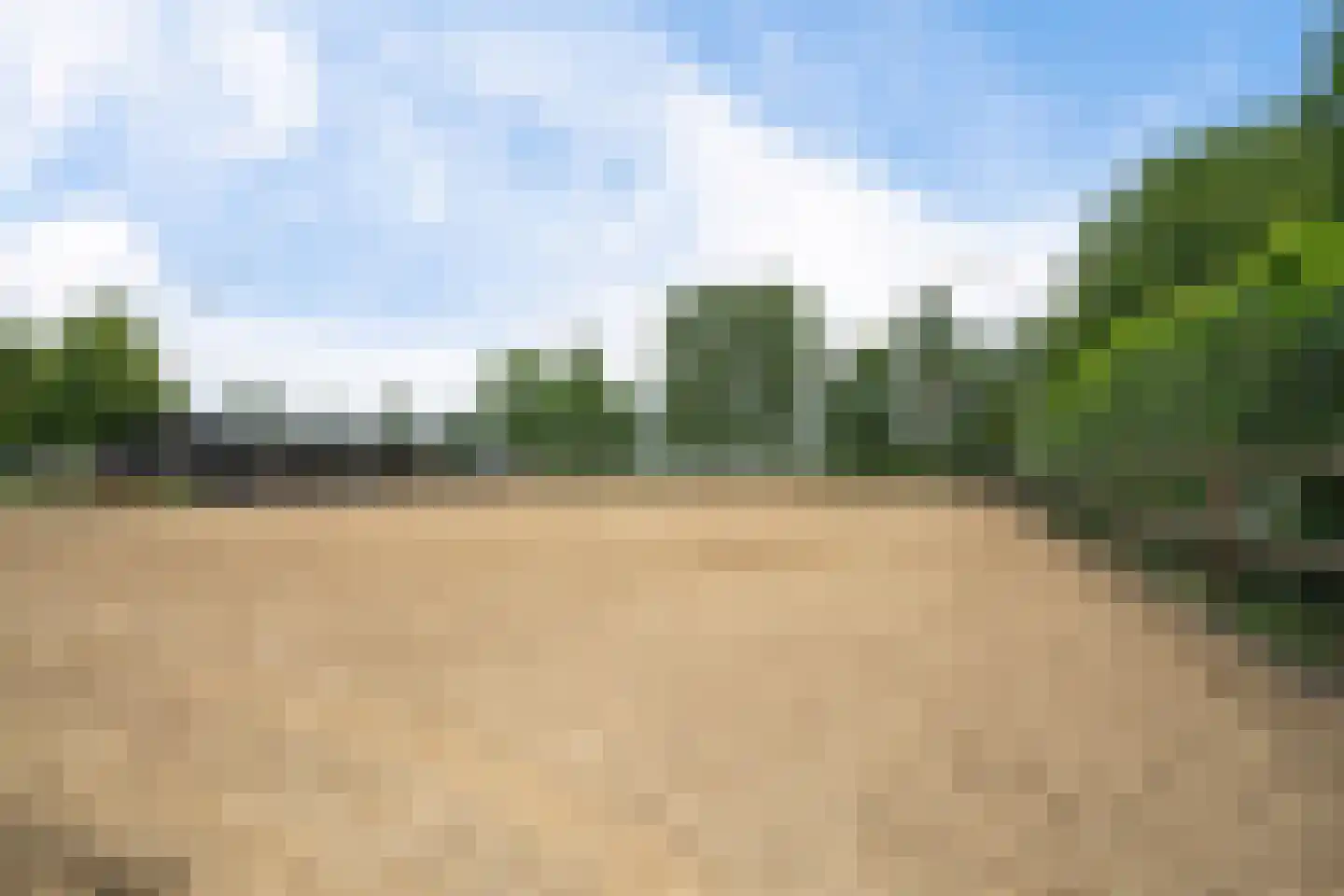 Vinkwijk 9 Zeddam thumbnail 47