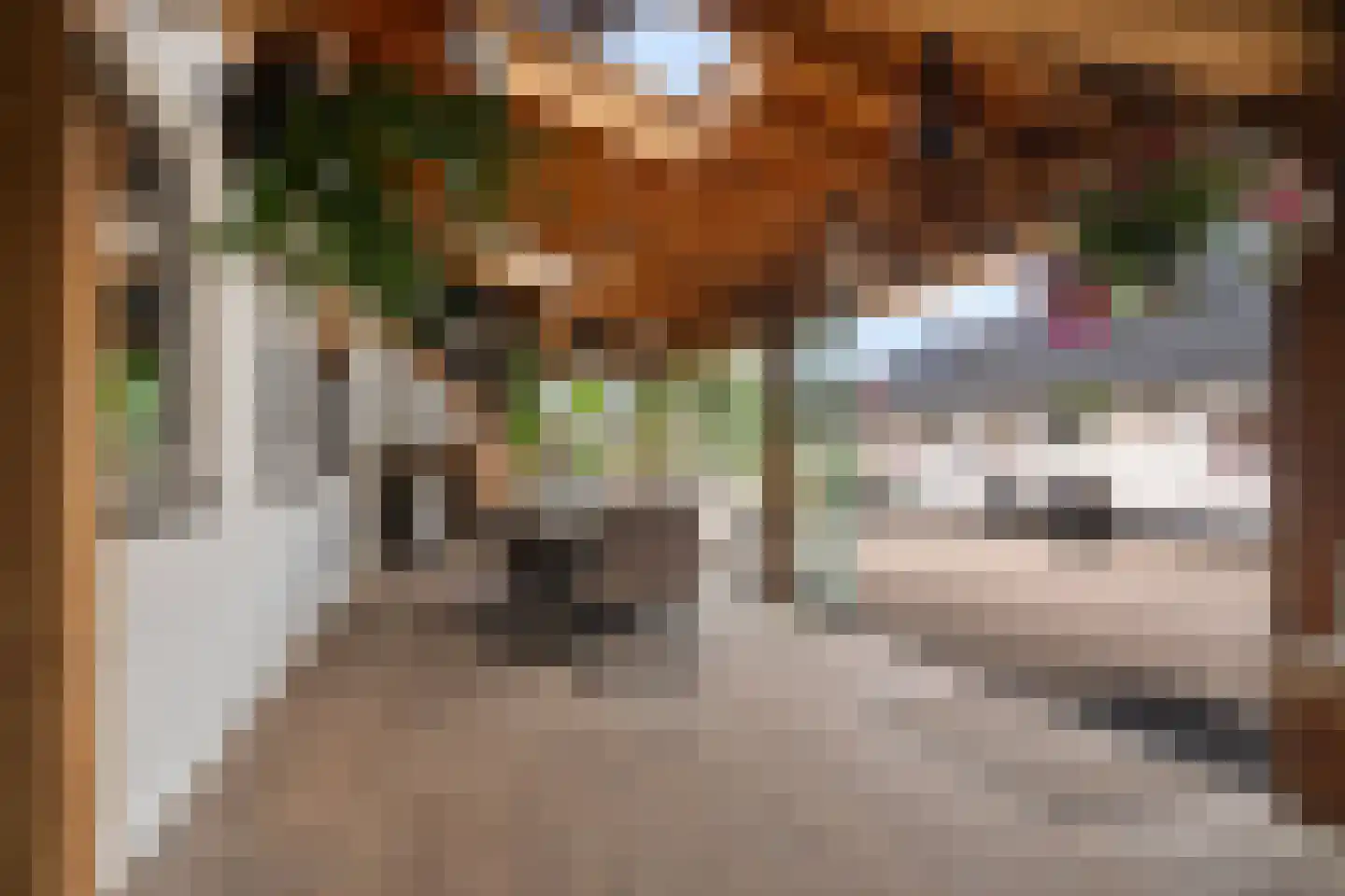 Vinkwijk 9 Zeddam thumbnail 48