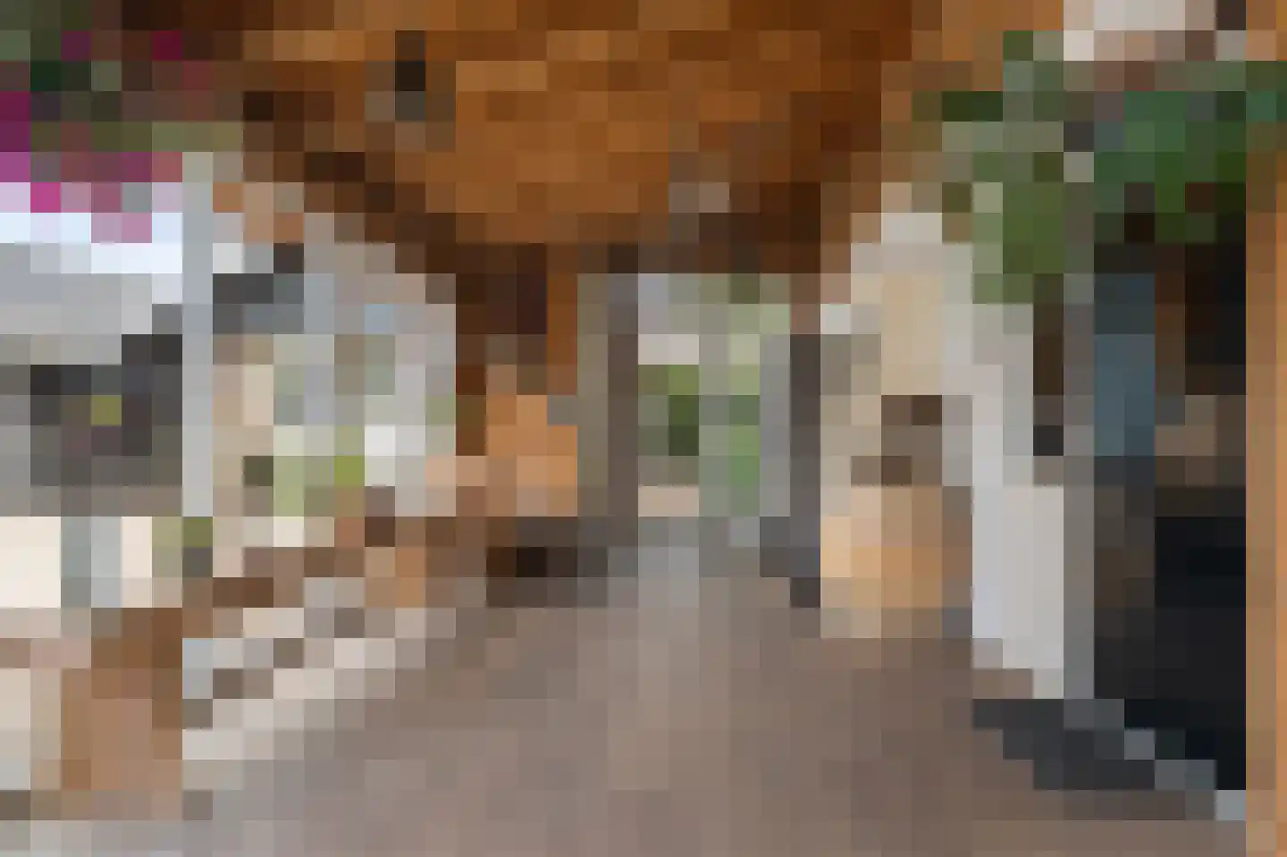 Vinkwijk 9 Zeddam thumbnail 49