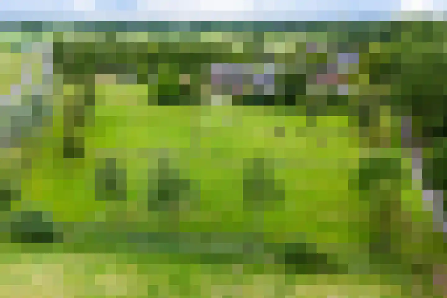 Vinkwijk 9 Zeddam thumbnail 52