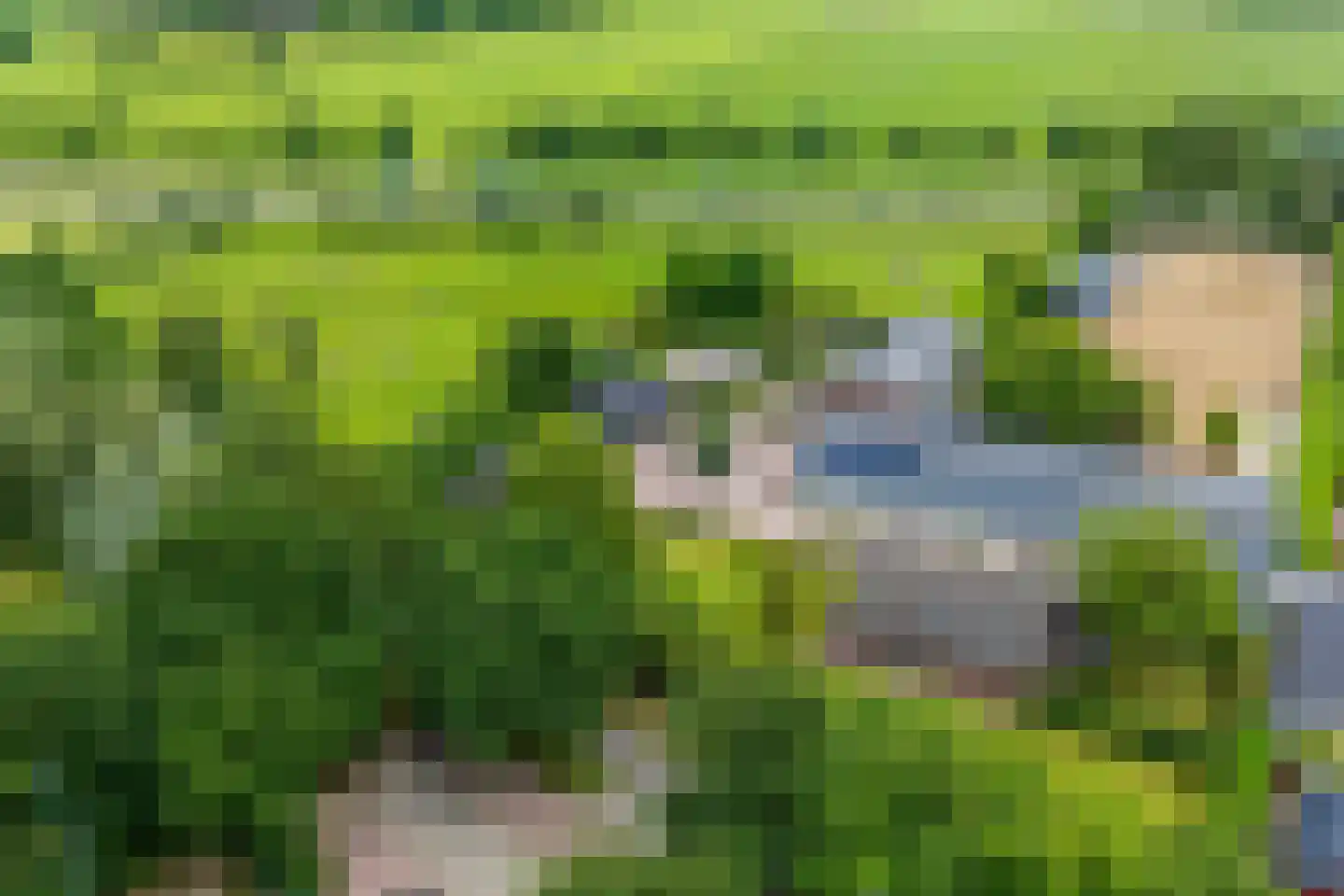 Vinkwijk 9 Zeddam thumbnail 54