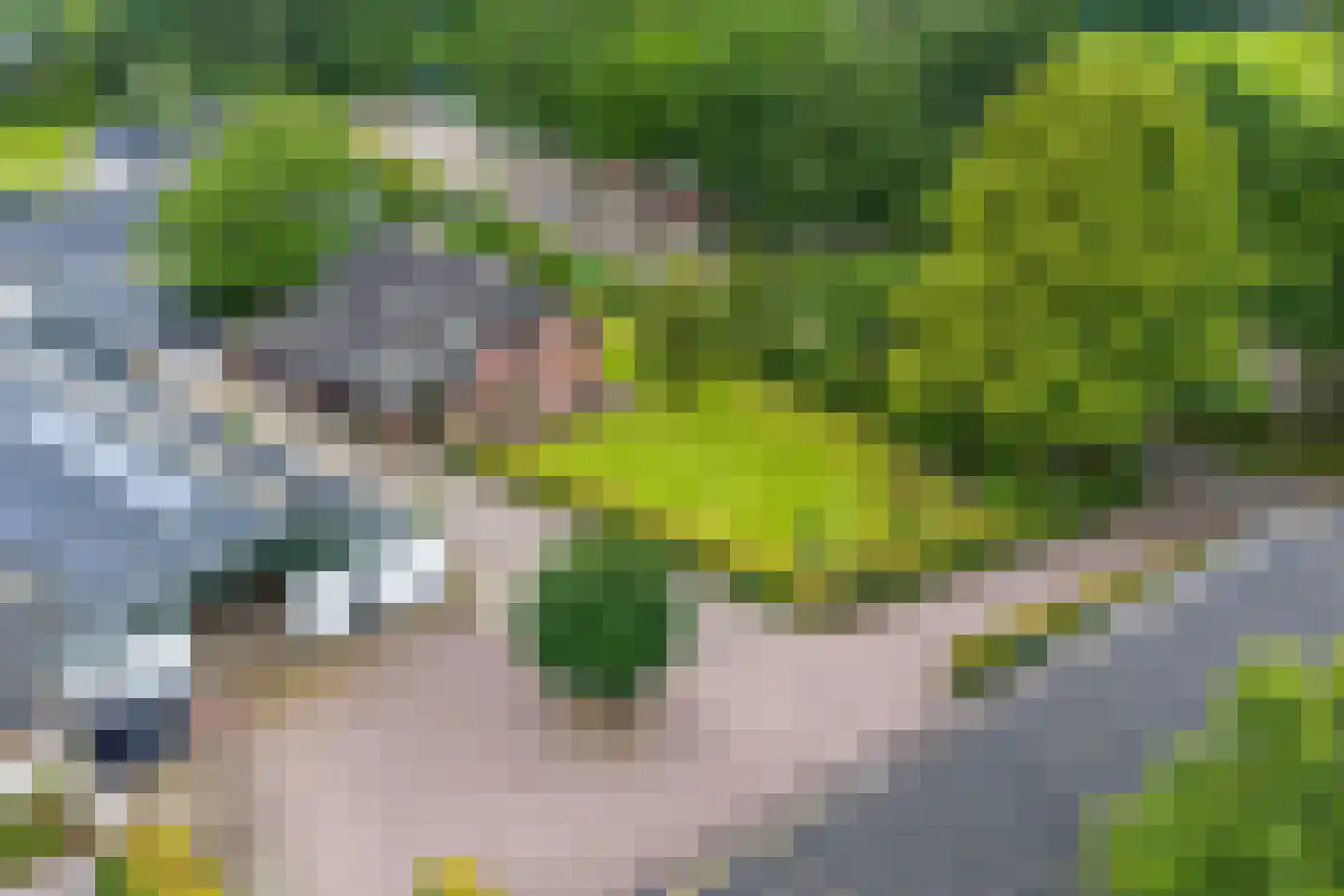 Vinkwijk 9 Zeddam thumbnail 55