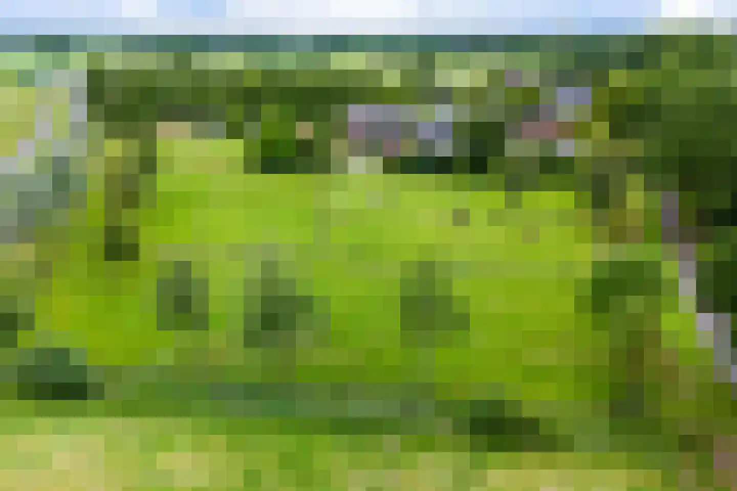 Vinkwijk 9 Zeddam thumbnail 57