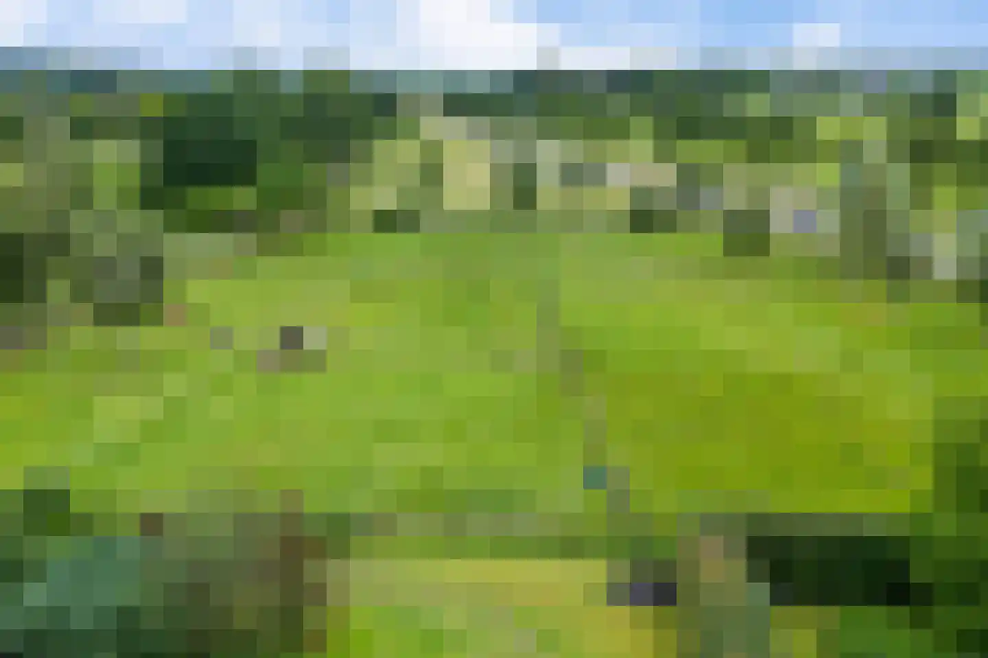 Vinkwijk 9 Zeddam thumbnail 58