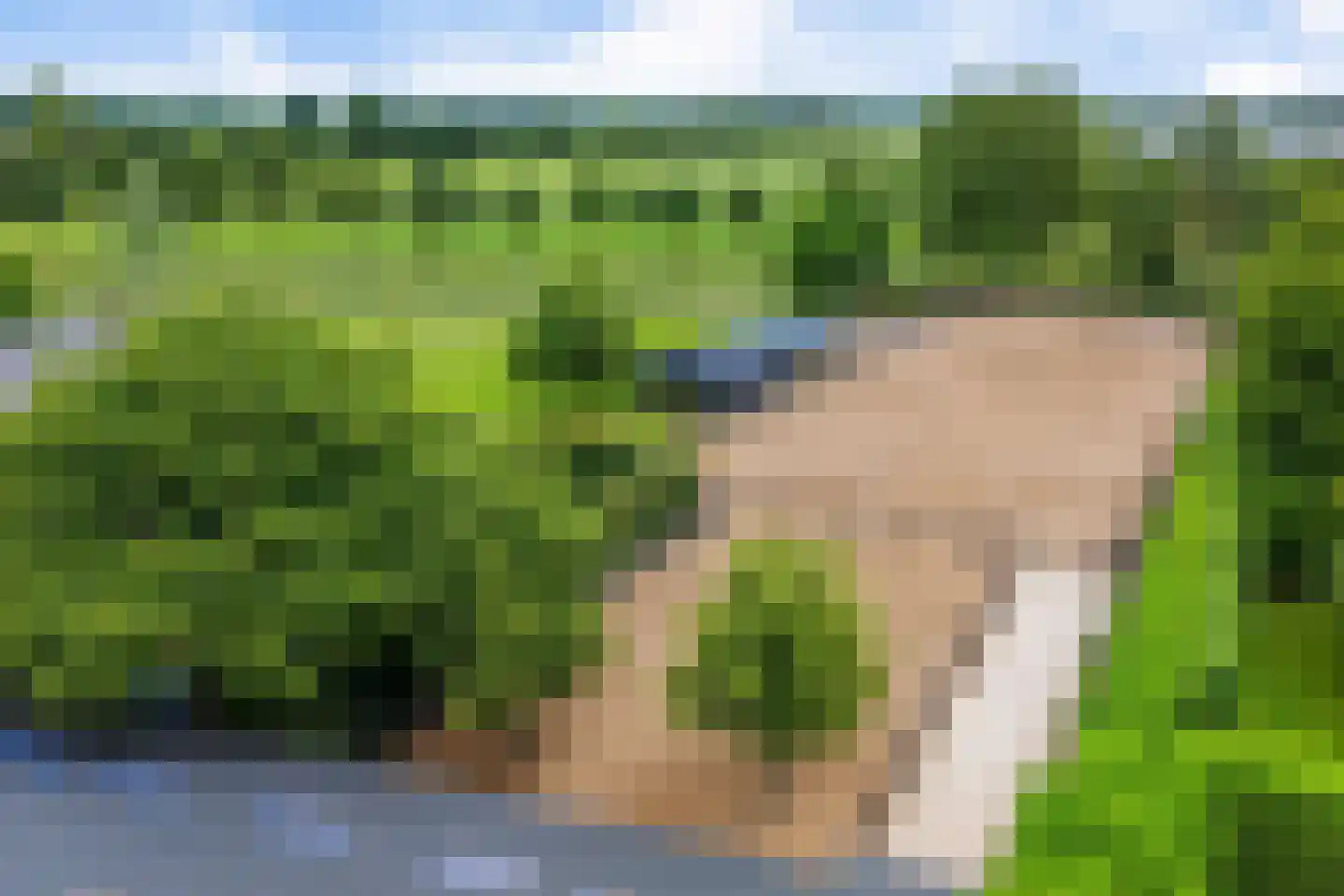 Vinkwijk 9 Zeddam thumbnail 59