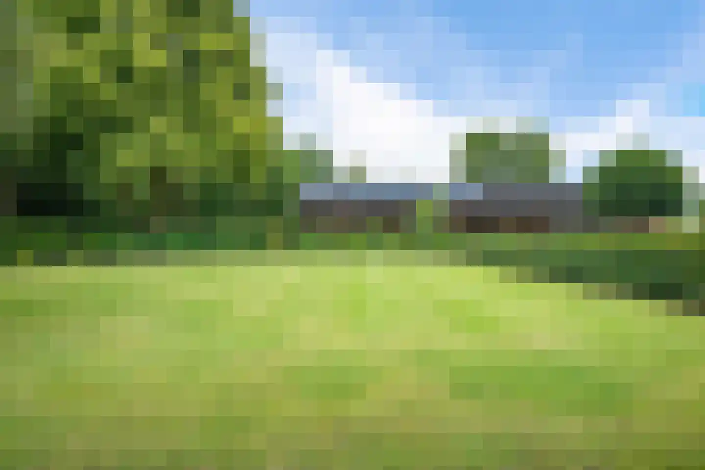 Vinkwijk 9 Zeddam thumbnail 7