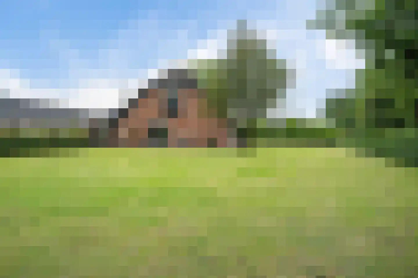 Vinkwijk 9 Zeddam thumbnail 8