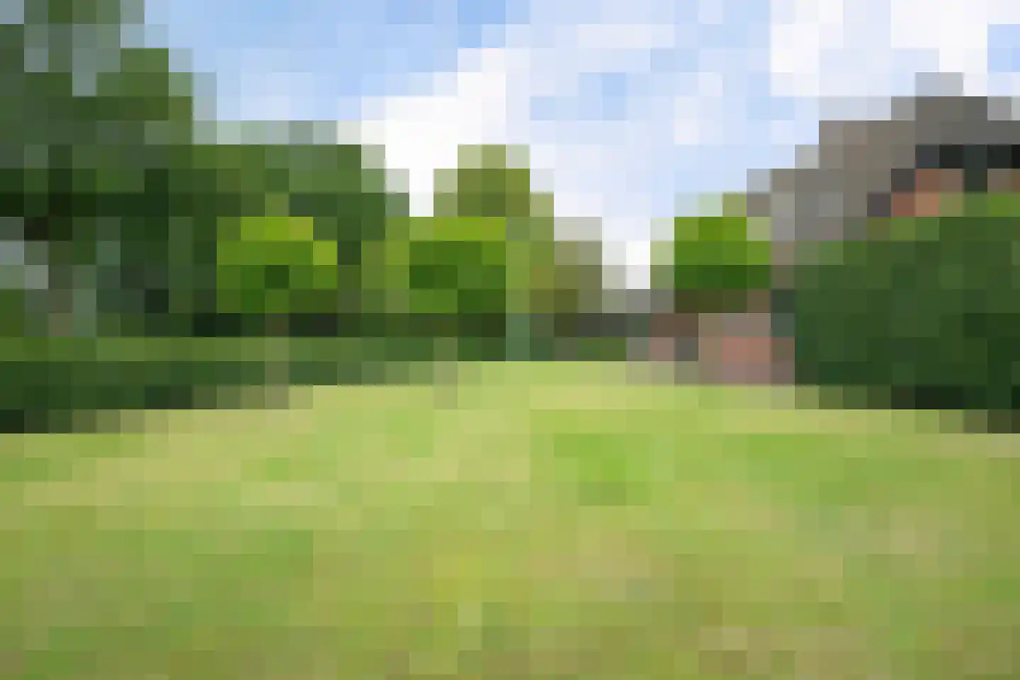 Vinkwijk 9 Zeddam thumbnail 9