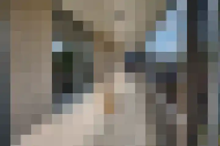 Vinkwijkseweg 2 a 14 Zeddam thumbnail 9