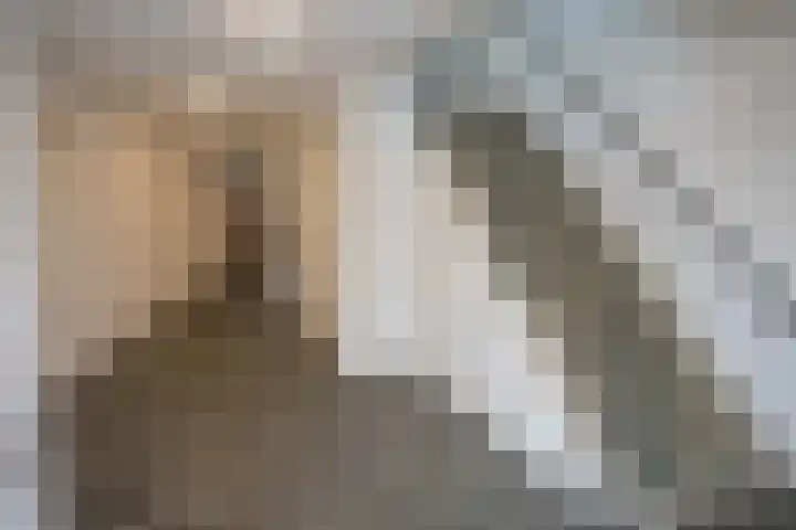 Vinkwijkseweg 2 a 3 Zeddam thumbnail 8