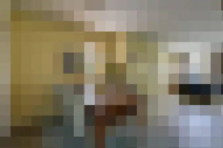Vinkwijkseweg 3 b Zeddam thumbnail 18