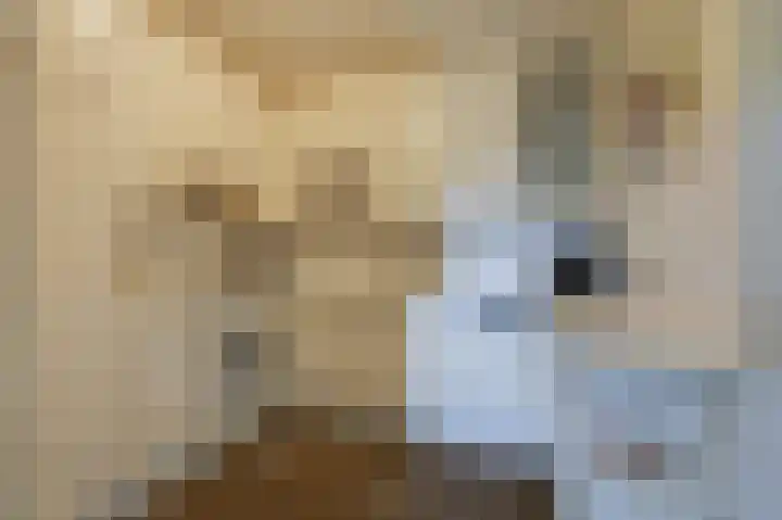 Vinkwijkseweg 3 b Zeddam thumbnail 20