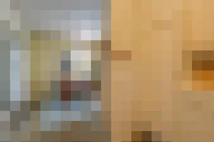 Vinkwijkseweg 3 b Zeddam thumbnail 22