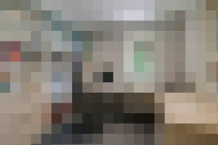 Vinkwijkseweg 3 b Zeddam thumbnail 26