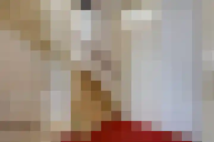 Vinkwijkseweg 3 b Zeddam thumbnail 32