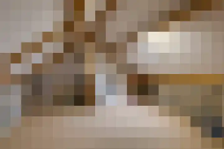 Vinkwijkseweg 3 b Zeddam thumbnail 44