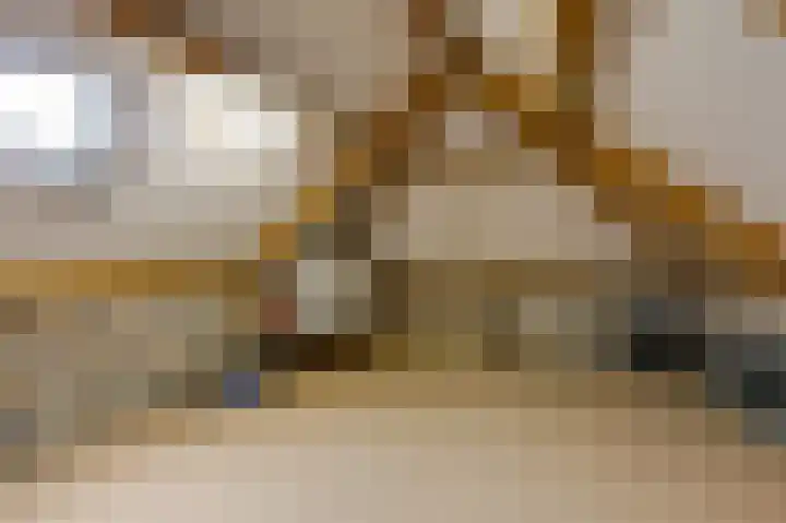 Vinkwijkseweg 3 b Zeddam thumbnail 45