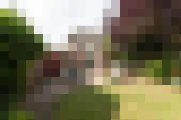 Vinkwijkseweg 3 b Zeddam thumbnail 46