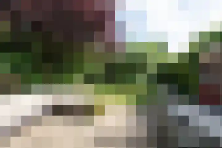 Vinkwijkseweg 3 b Zeddam thumbnail 49