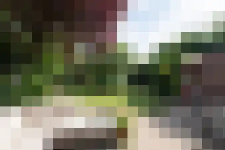 Vinkwijkseweg 3 b Zeddam thumbnail 50