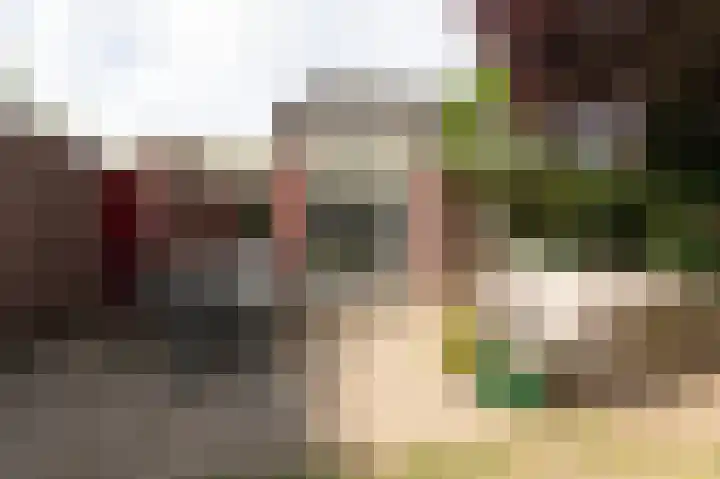 Vinkwijkseweg 3 b Zeddam thumbnail 51