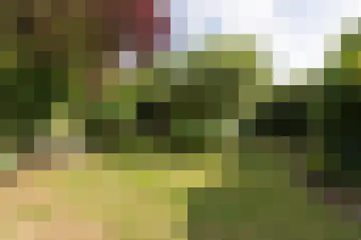 Vinkwijkseweg 3 b Zeddam thumbnail 52