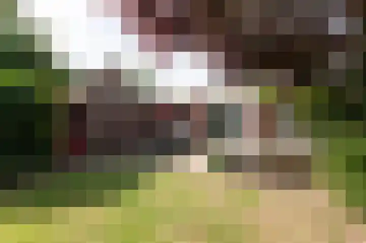 Vinkwijkseweg 3 b Zeddam thumbnail 53