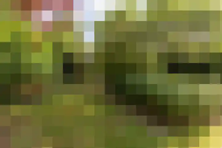 Vinkwijkseweg 3 b Zeddam thumbnail 54