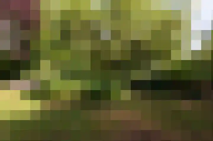 Vinkwijkseweg 3 b Zeddam thumbnail 55