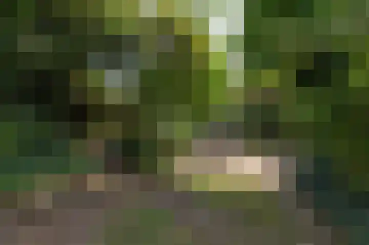 Vinkwijkseweg 3 b Zeddam thumbnail 56