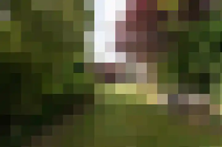 Vinkwijkseweg 3 b Zeddam thumbnail 57