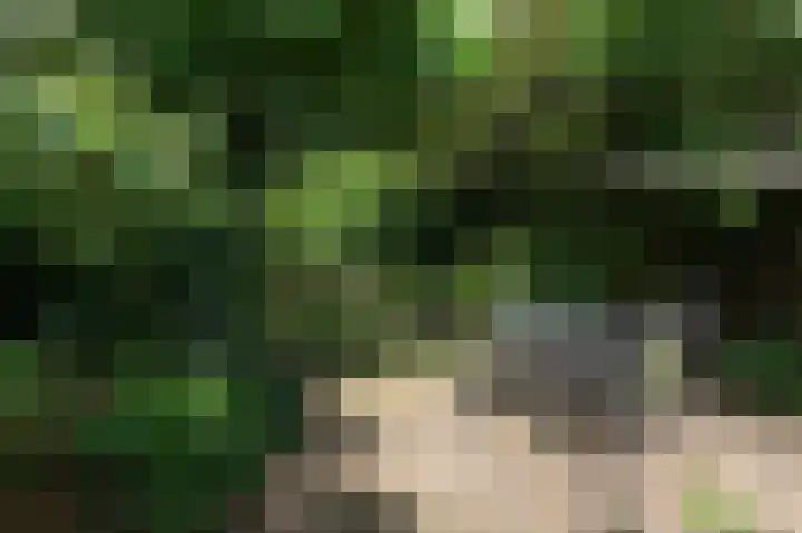 Vinkwijkseweg 3 b Zeddam thumbnail 58
