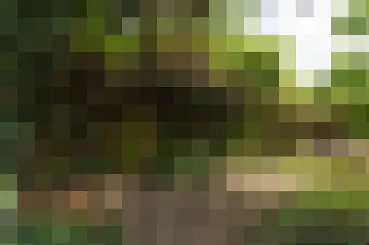 Vinkwijkseweg 3 b Zeddam thumbnail 59