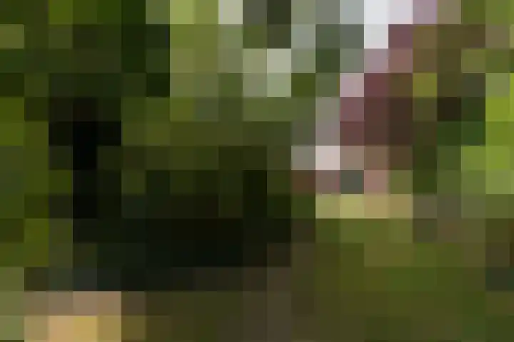 Vinkwijkseweg 3 b Zeddam thumbnail 60