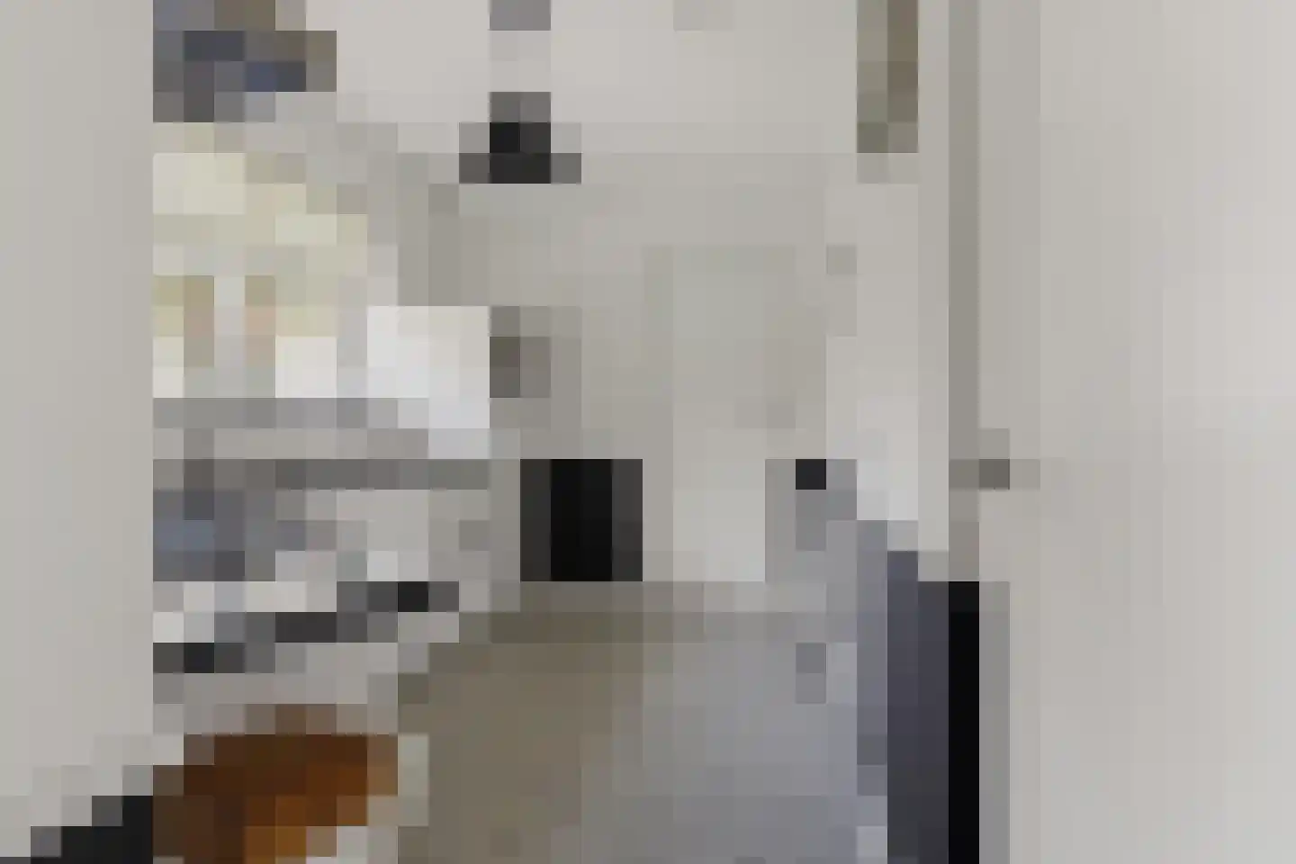 Vinkwijkseweg 3 e Zeddam thumbnail 11