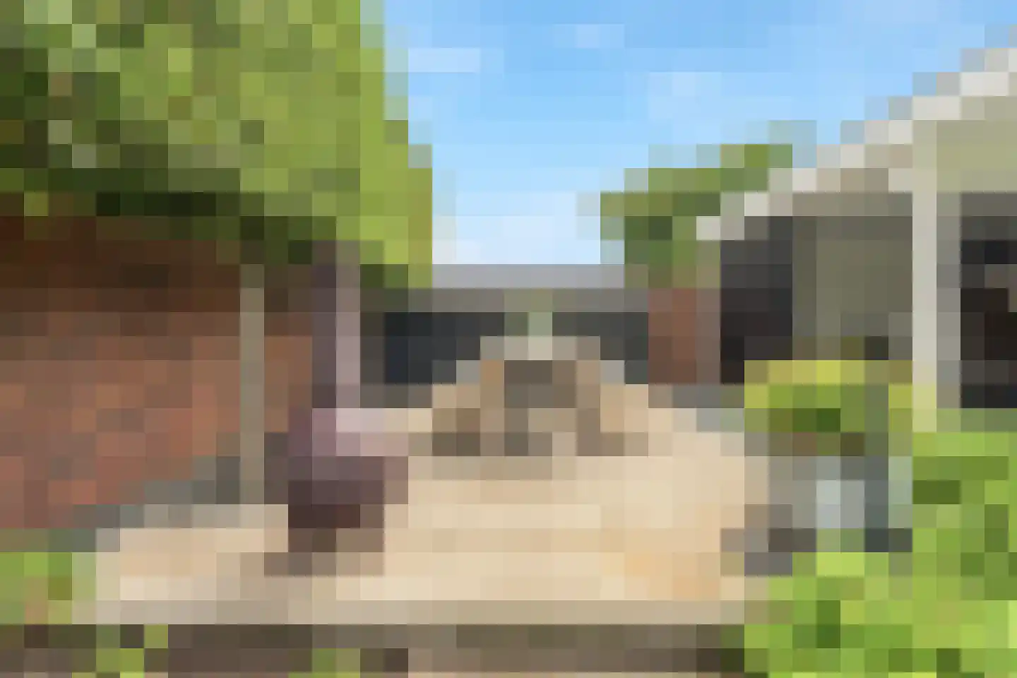 Vinkwijkseweg 3 e Zeddam thumbnail 27