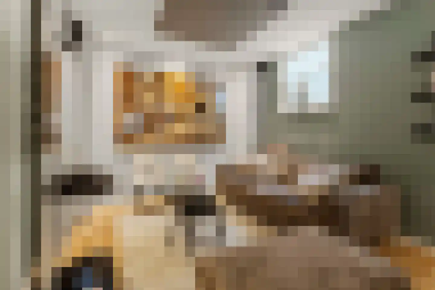 Vinkwijkseweg 3 e Zeddam thumbnail 37