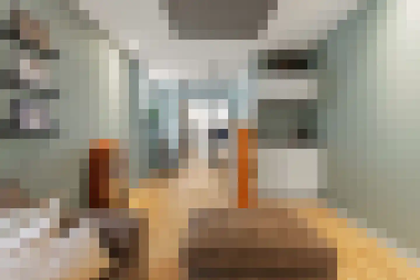 Vinkwijkseweg 3 e Zeddam thumbnail 39