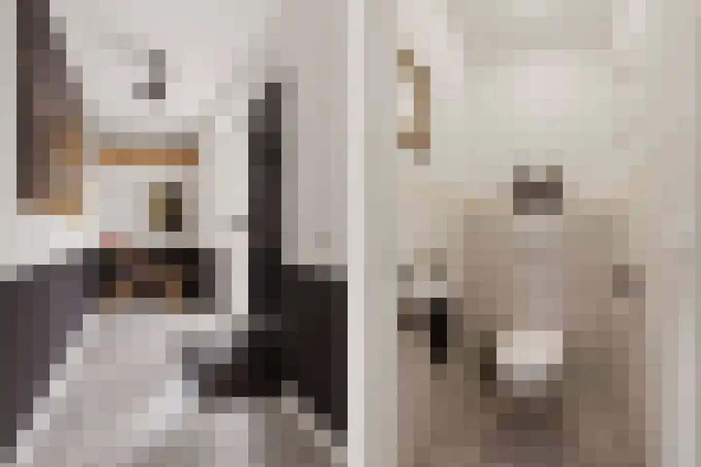 Vinkwijkseweg 3 e Zeddam thumbnail 49