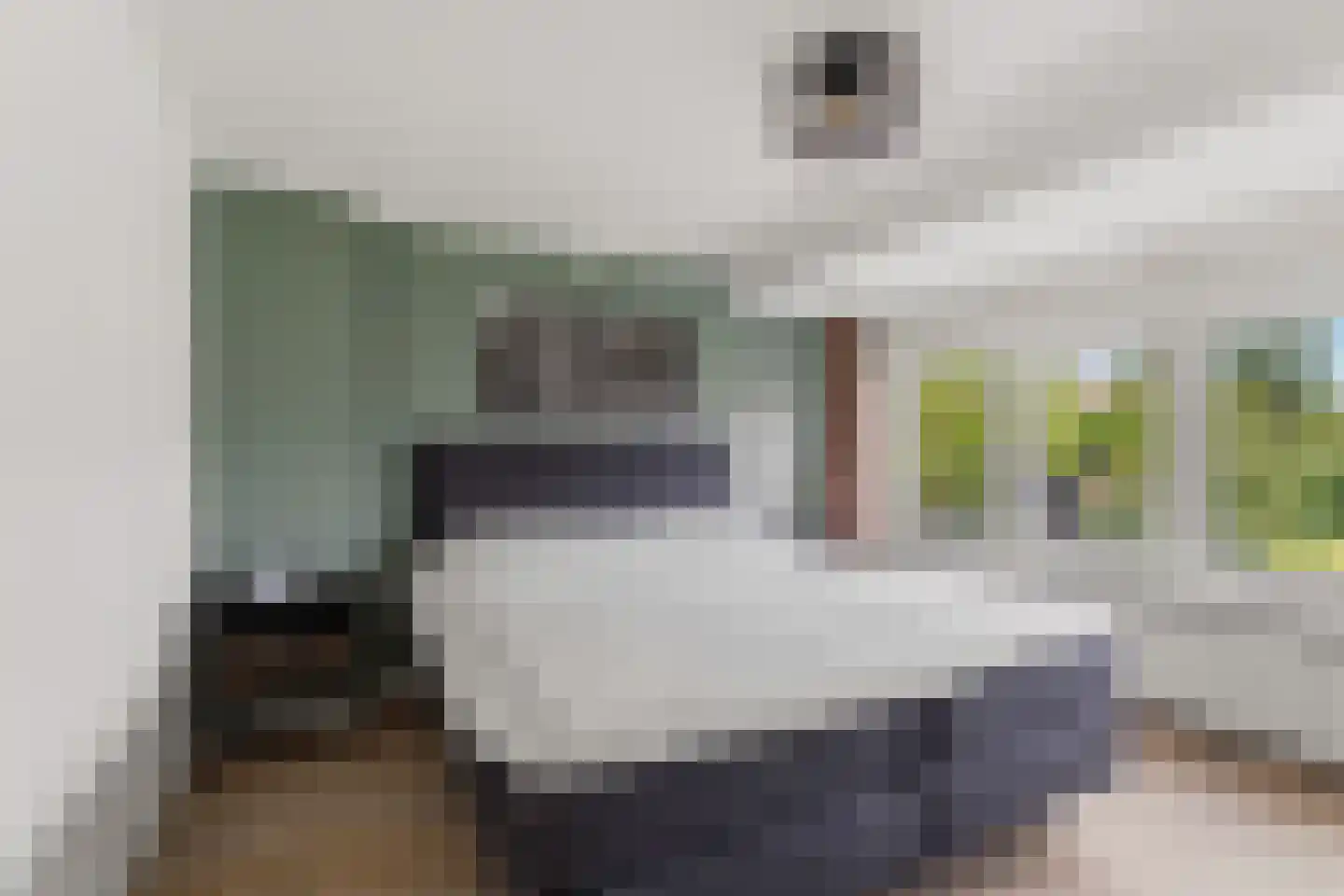 Vinkwijkseweg 3 e Zeddam thumbnail 53