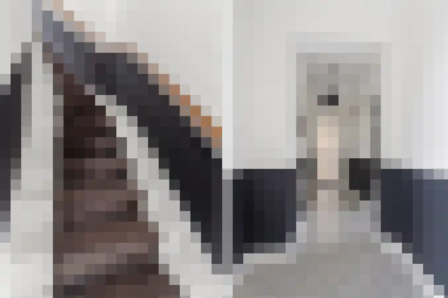 Vinkwijkseweg 3 e Zeddam thumbnail 70