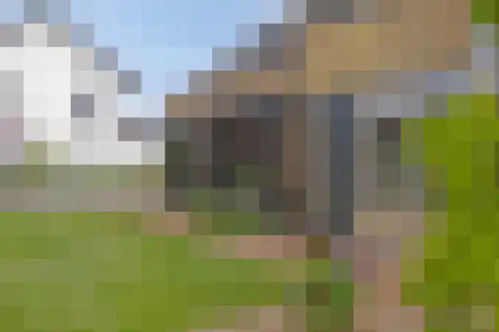 Vinkwijkseweg 9 Zeddam thumbnail 10