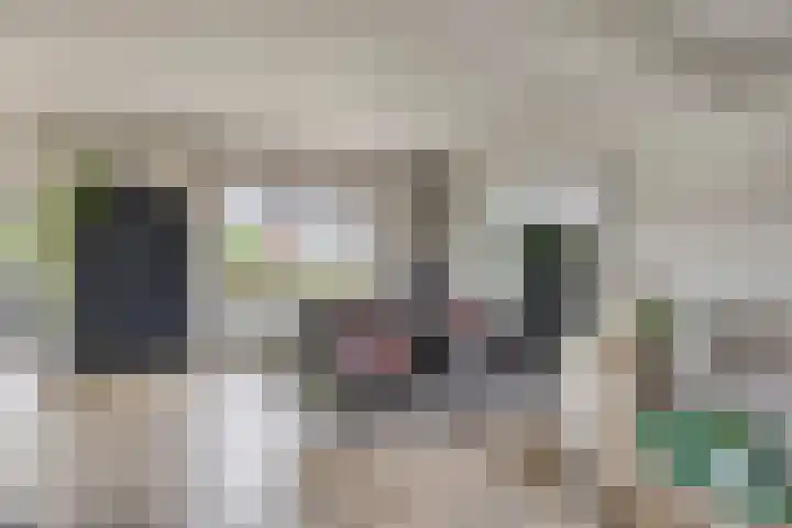 Vinkwijkseweg 9 Zeddam thumbnail 17
