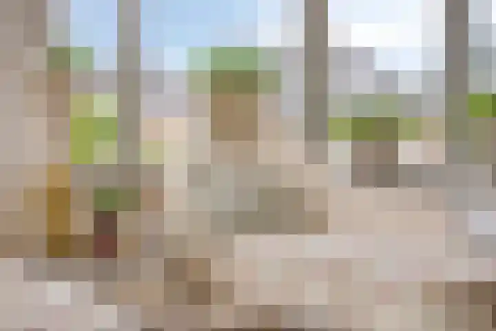 Vinkwijkseweg 9 Zeddam thumbnail 21