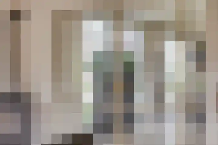 Vinkwijkseweg 9 Zeddam thumbnail 22