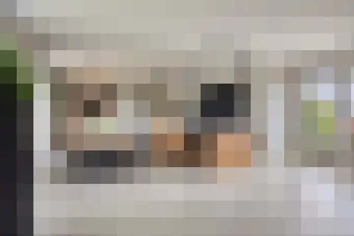Vinkwijkseweg 9 Zeddam thumbnail 24
